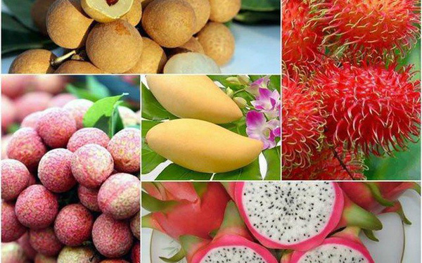 Các loại nông sản được xuất khẩu nhiều sang Trung Quốc