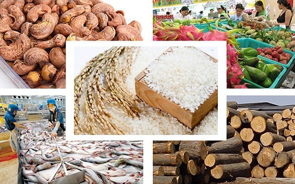Tình hình xuất khẩu nông sản Việt Nam sang Trung Quốc